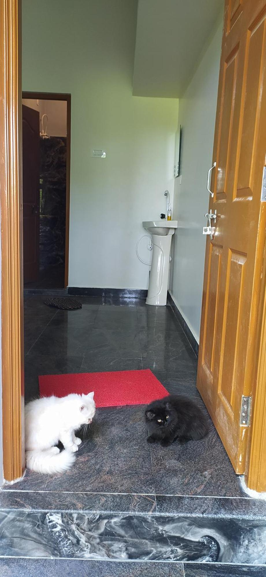 Ratnakar Arundekar Home Stay In Beach Side Ac Room Gokarna  Exterior foto